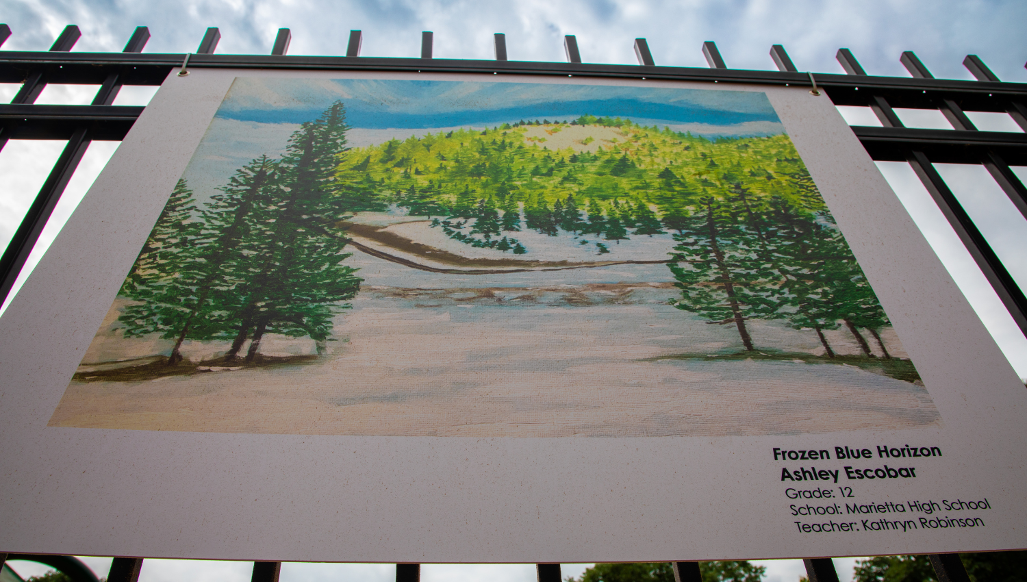  Students transform Marietta with creative artwork inside public parks